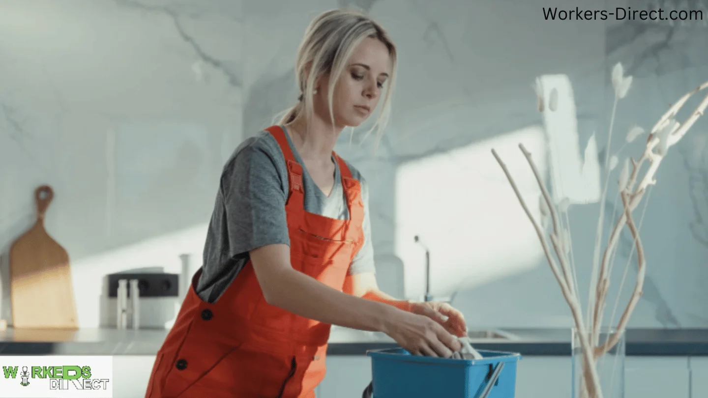 Cleaner using professional equipment and techniques